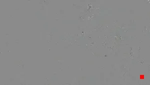 Caméra IP - IT