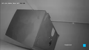Caméra IP - IN