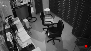 Caméra IP - EG