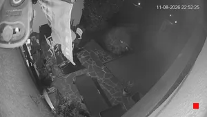 Caméra IP - IT