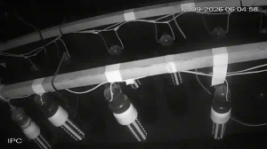 Caméra IP - AR