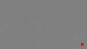 Caméra IP - TH