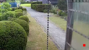 Caméra IP - JP