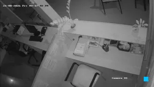 Caméra IP - IN