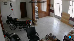 Caméra IP - IR