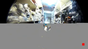 Caméra IP - IR