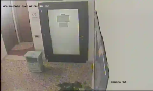 Caméra IP - US
