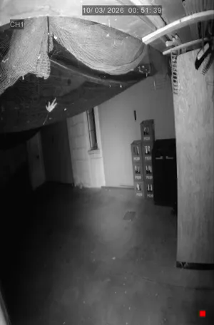 Caméra IP - IT