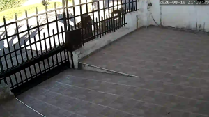 Caméra IP - AR