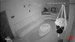 Caméra IP - IR