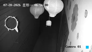 Caméra IP - CN