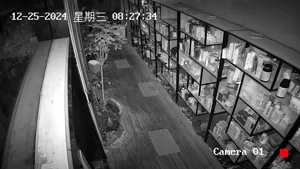 Caméra IP - CN