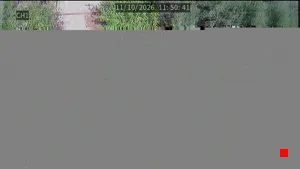 Caméra IP - MA