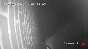 Caméra IP - US
