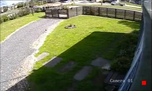 Caméra IP - UY
