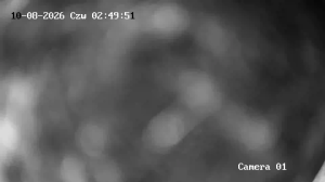 Caméra IP - PL
