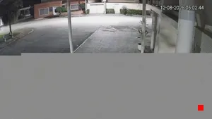 Caméra IP - BR