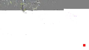 Caméra IP - AR