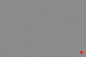Caméra IP - IT