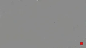 Caméra IP - ES