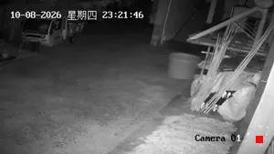 Caméra IP - CN