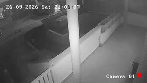 Caméra IP - IT