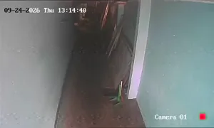 Caméra IP - TH