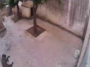 Caméra IP - IT