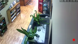 Caméra IP - US