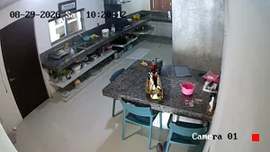 Caméra IP - MX