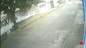 Caméra IP - MX