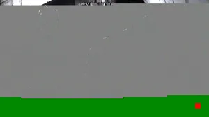 Caméra IP - US