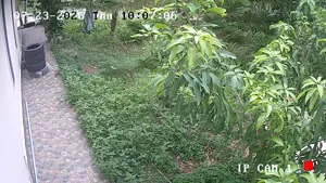 Caméra IP - TH