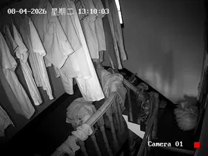 Caméra IP - CN
