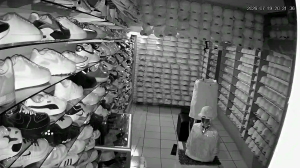 Caméra IP - MX