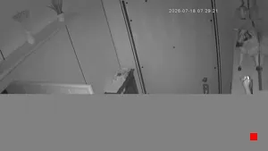 Caméra IP - IT