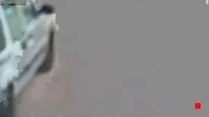 Caméra IP - TR