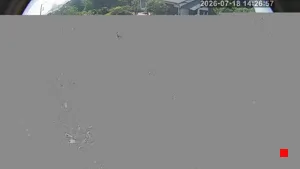 Caméra IP - JP