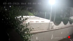 Caméra IP - IT