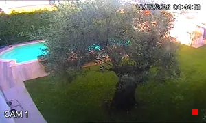Caméra IP - IT