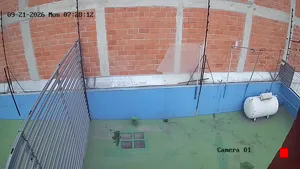 Caméra IP - MX