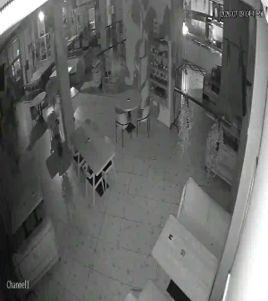 Caméra IP - RU