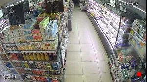 Caméra IP - ES