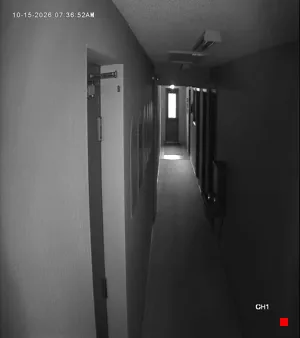 Caméra IP - US