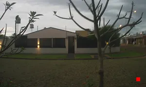 Caméra IP - AR