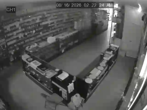 Caméra IP - US