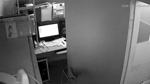 Caméra IP - CN