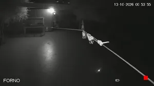 Caméra IP - IT