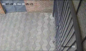 Caméra IP - DE