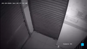 Caméra IP - IN